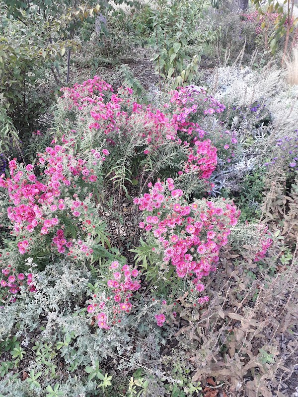 RESIDENCE TEMPORAIRE CHARMANON