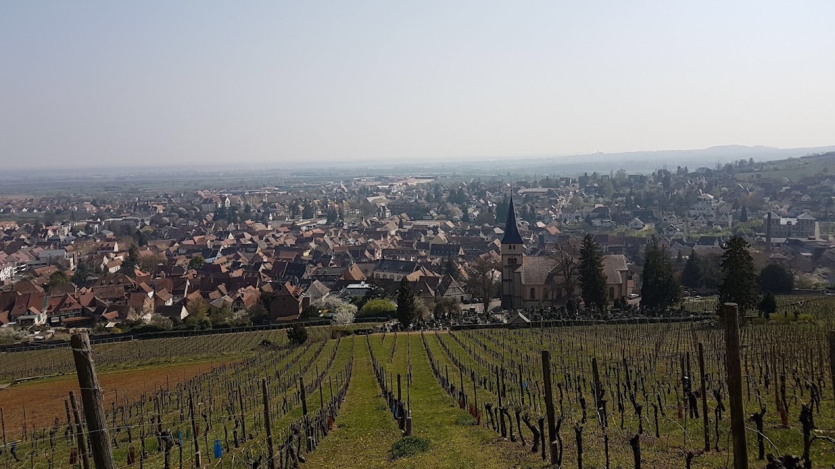 EHPAD Salem - Photo 3 sur 3 - Chambres et hébergement