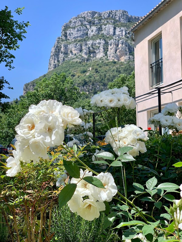 EHPAD Les Chênes - Photo 4 sur 5 - Espaces de vie