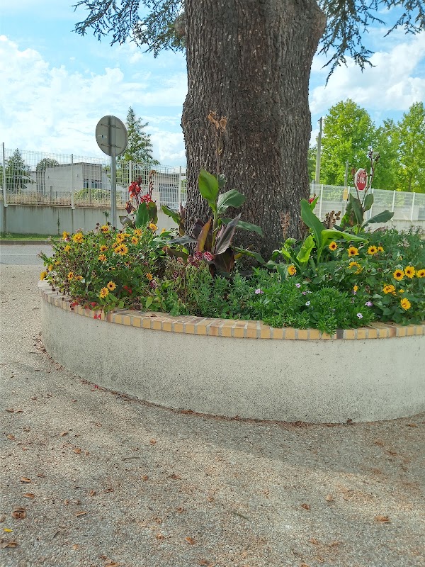 EHPAD de l'Hôpital gérontologique de Plaisir - Photo 5 sur 5 - Environnement et extérieurs