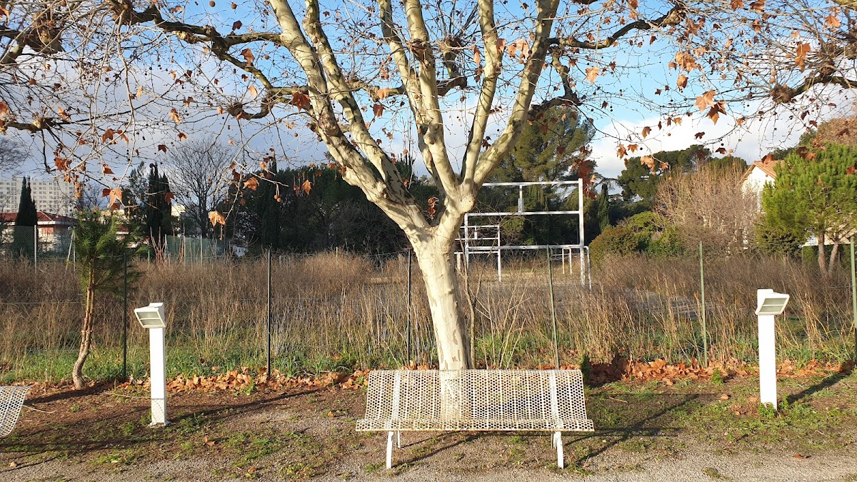 EHPAD du Bon Pasteur - Photo 5 sur 5 - Environnement et extérieurs