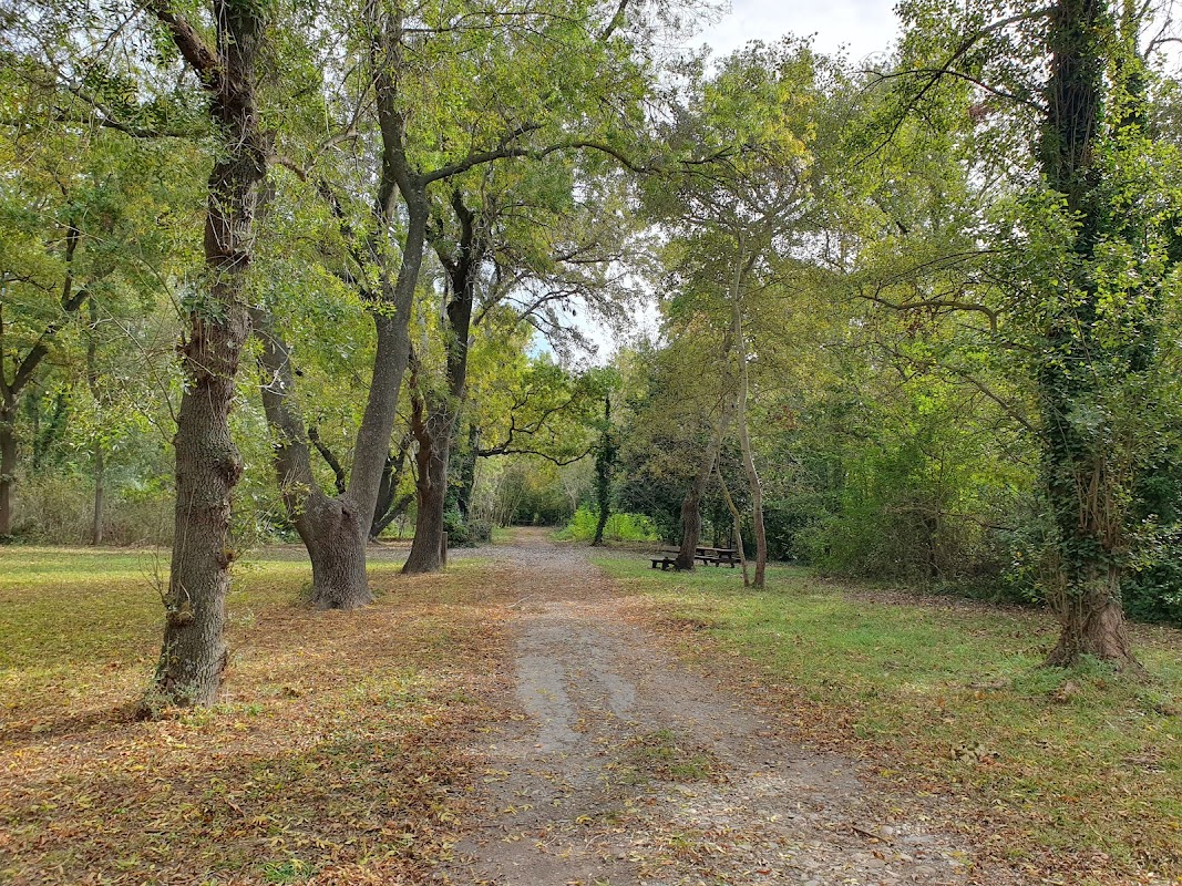 EHPAD La Pastourello - Photo 5 sur 5 - Environnement et extérieurs