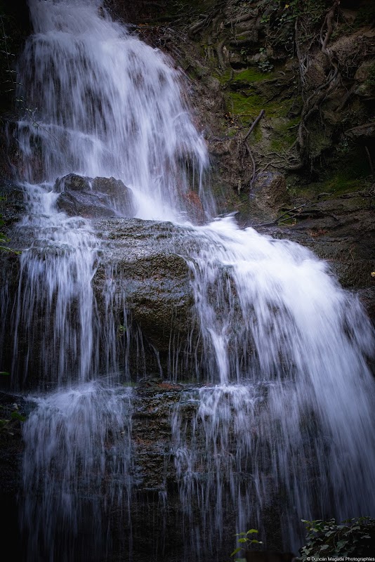 EHPAD La Pastourello - Photo 3 sur 5 - Chambres et hébergement