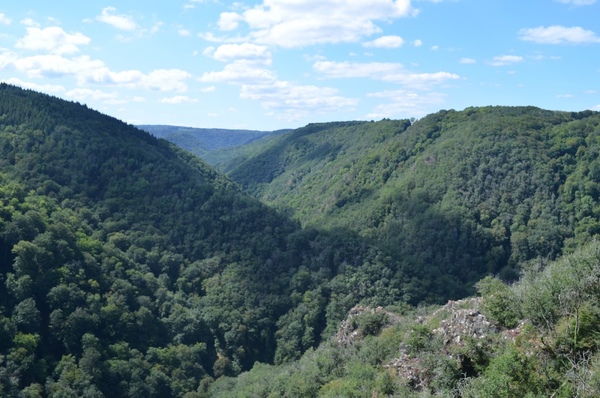 EHPAD de Corrèze - Photo 2 sur 5 - Intérieur et espaces communs