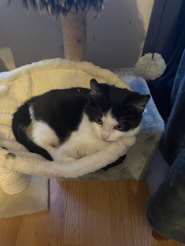 EHPAD de Dormans - Photo 5 sur 5 - Environnement et extérieurs