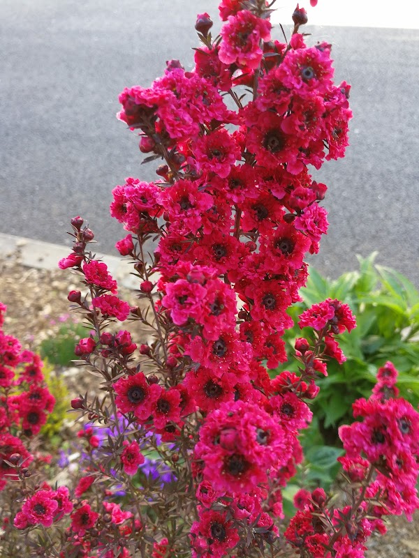 EHPAA LA MOULINOTTE - Photo 2 sur 2 - Intérieur et espaces communs