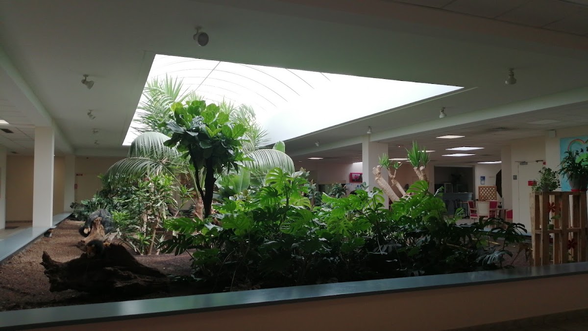 EHPAD Centre Fournier-Sarlovèze - Photo 3 sur 3 - Chambres et hébergement