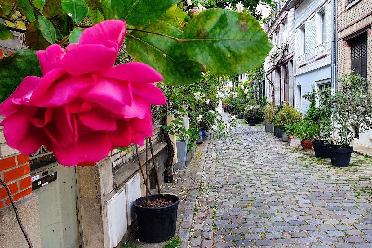 Logements Santos Dumont - Photo 5 sur 5 - Environnement et extérieurs