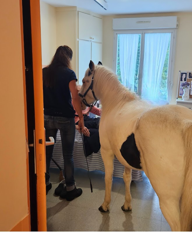 EHPAD Les Brullys - Photo 5 sur 5 - Environnement et extérieurs