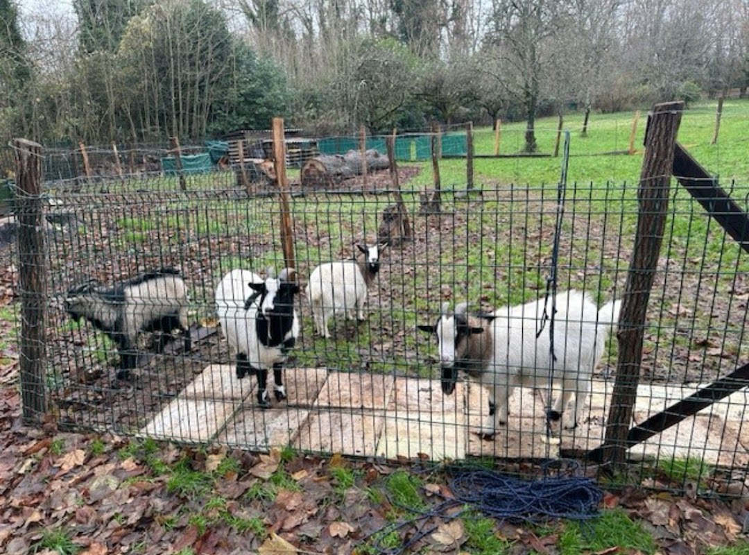 EHPAD Les Brullys - Photo 4 sur 5 - Espaces de vie