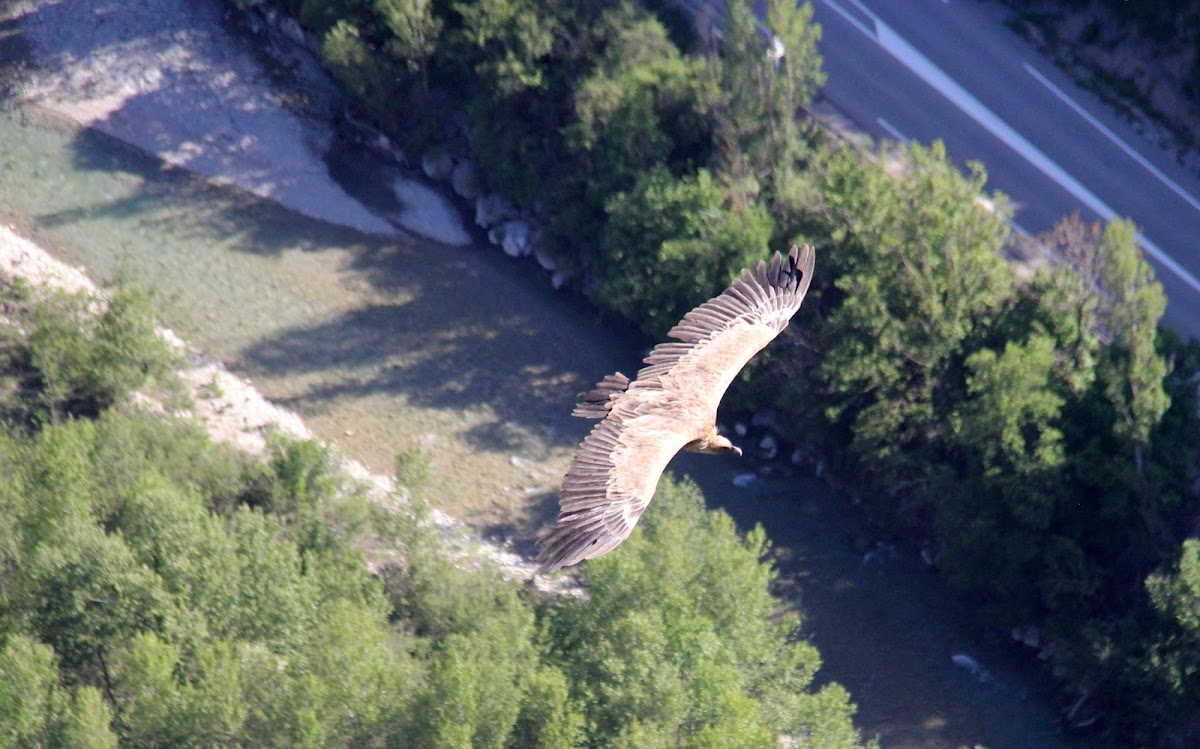 MARPA Les Baronnies - Photo 3 sur 5 - Chambres et hébergement