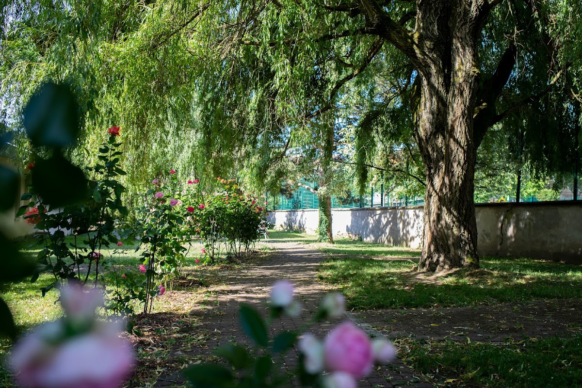 Fondation Saint-Charles de Nancy Maison Sainte-Thérèse - Photo 4 sur 5 - Espaces de vie