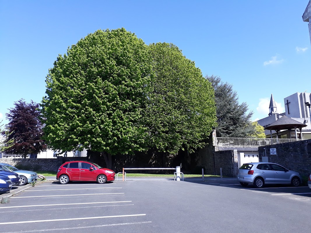 EHPA JEAN MARIE DE LA MENNAIS - Photo 5 sur 5 - Environnement et extérieurs
