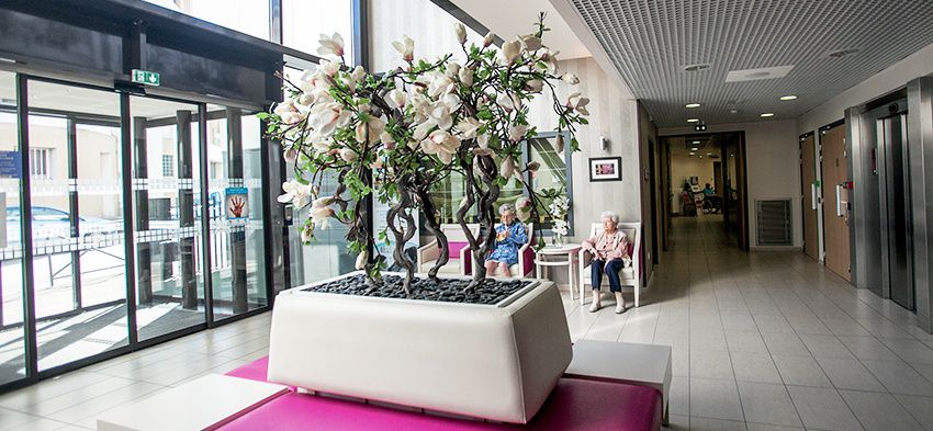 La Maison du Tulipier - Photo 4 sur 5 - Espaces de vie