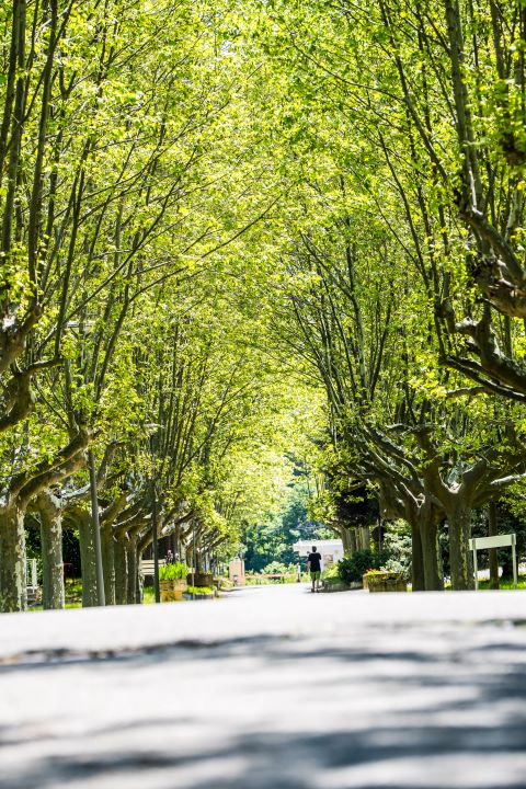 USLD le Buech - Photo 4 sur 4 - Espaces de vie