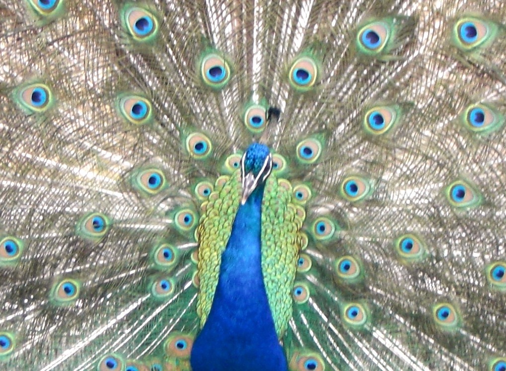 EHPAD Maisonneuve - Photo 2 sur 3 - Intérieur et espaces communs