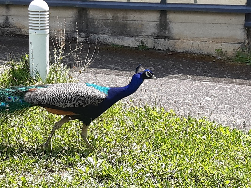 EHPAD Maisonneuve - Photo 3 sur 3 - Chambres et hébergement