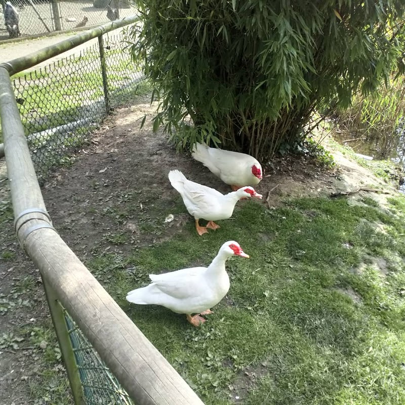 Photo de Résidence du Petit Bily, EHPAD à PLANCOET