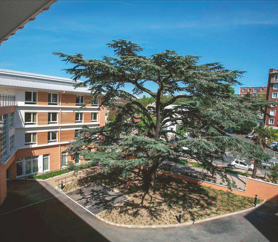 La maison du Grand Cèdre - Photo 3 sur 5 - Chambres et hébergement