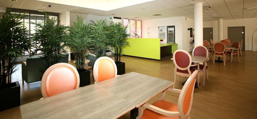 La maison du Grand Cèdre - Photo 5 sur 5 - Environnement et extérieurs