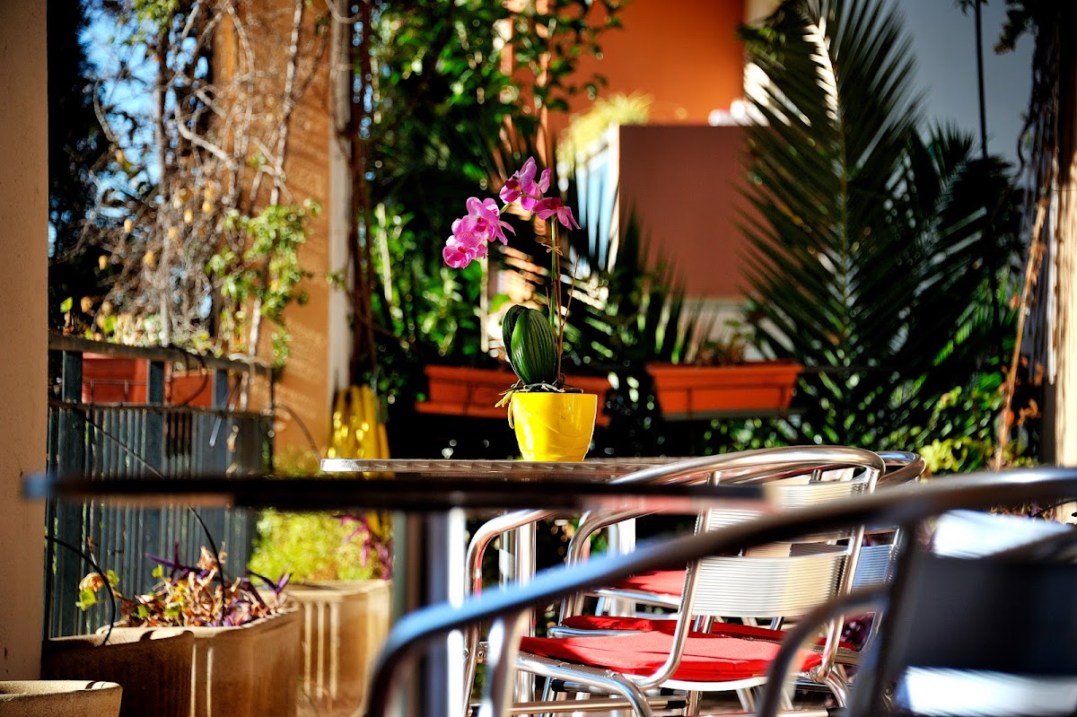 EHPAD L'Angélique - Photo 5 sur 5 - Environnement et extérieurs