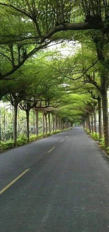 Résidence autonomie Guynemer - Photo 2 sur 2 - Intérieur et espaces communs