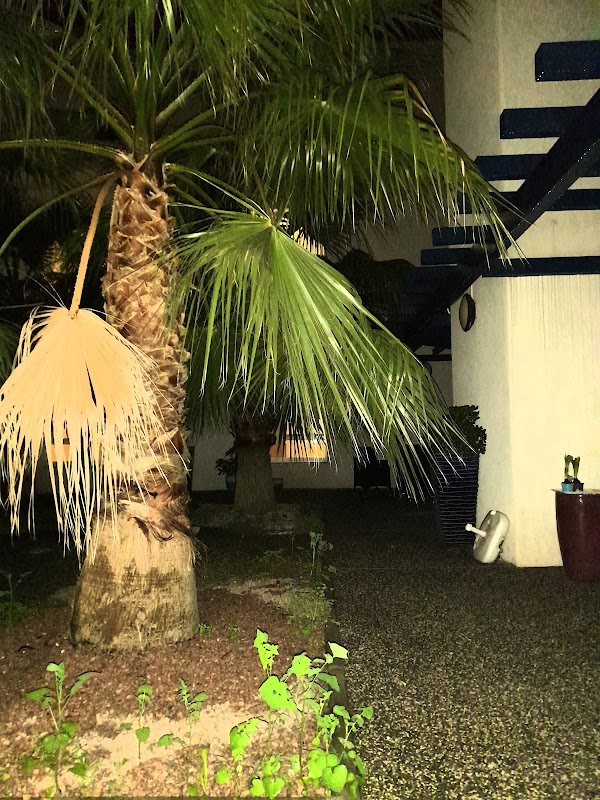 EHPAD MBV - Villa Clementia