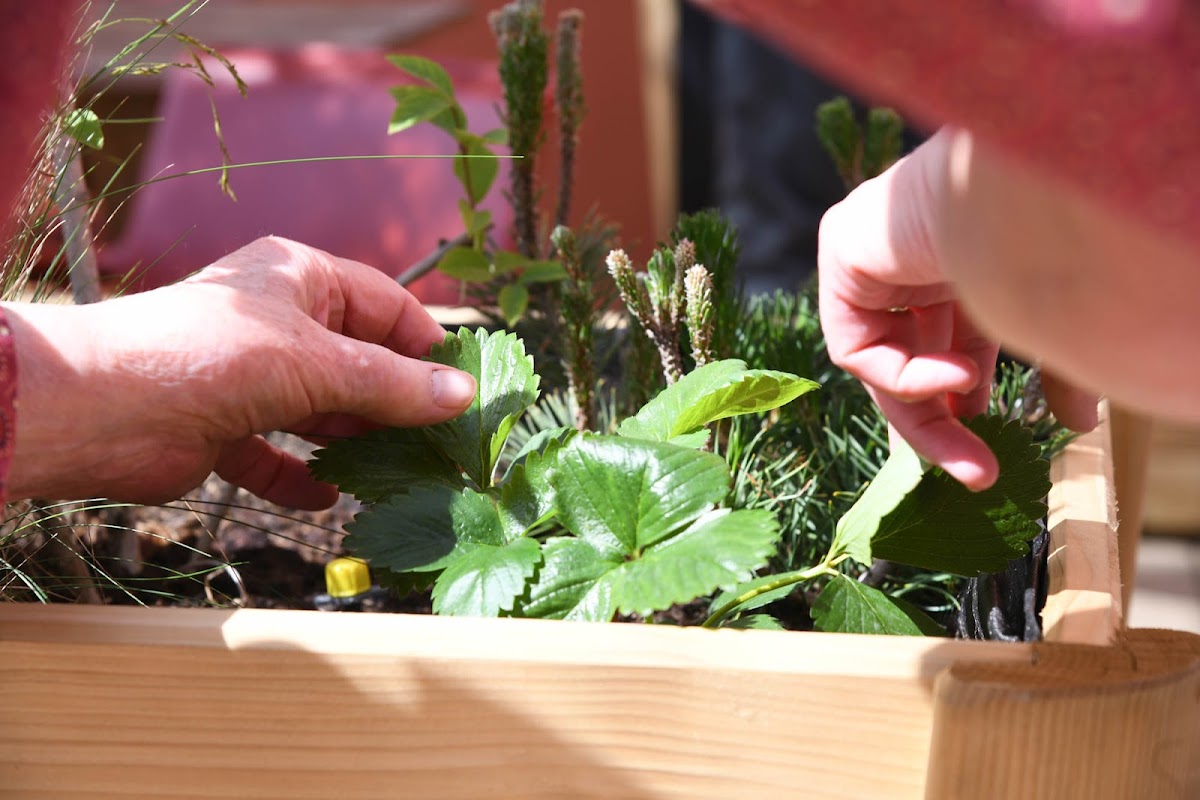 EHPAD Ma Demeure - Photo 4 sur 5 - Espaces de vie