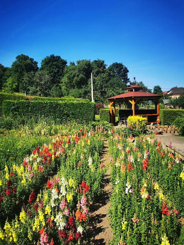 EHPA SOEURS DU TRES SAINT SAUVEUR - Photo 4 sur 5 - Espaces de vie