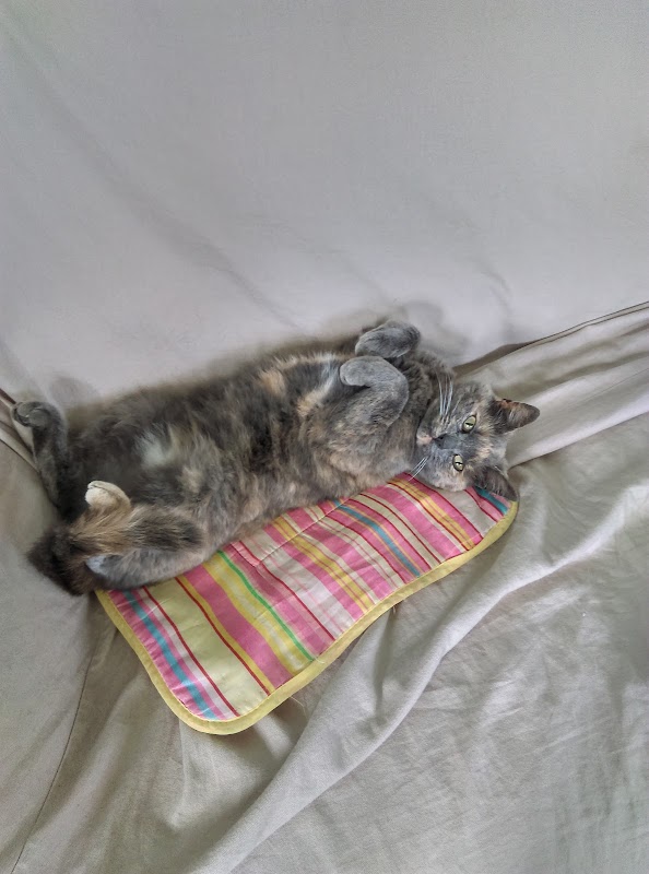 EHPAD Félix Maréchal - Photo 2 sur 2 - Intérieur et espaces communs