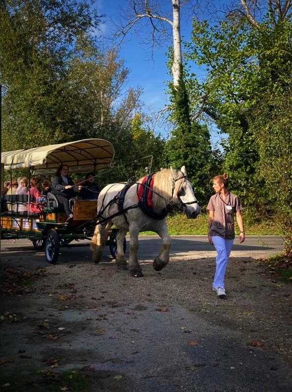 EHPAD Les Jardins du Lac - Photo 5 sur 5 - Environnement et extérieurs