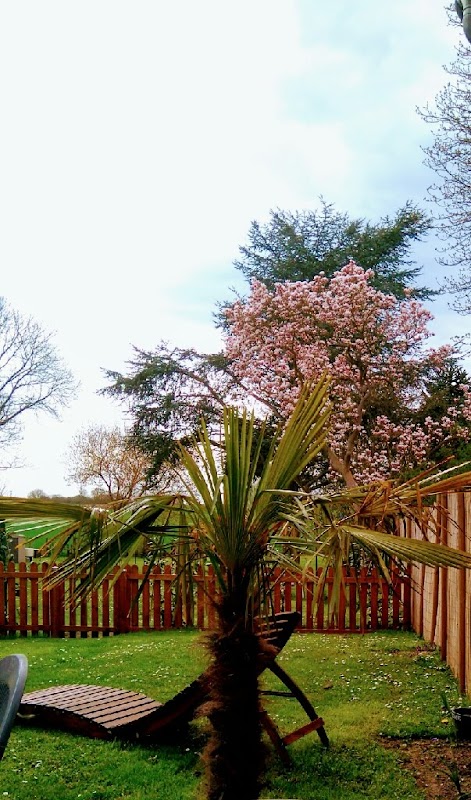 EHPAD Beaulieu-les-Fontaines