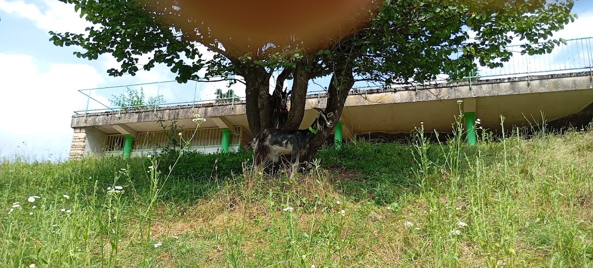 Photo de EHPAD de Thizy, EHPAD à THIZY LES BOURGS