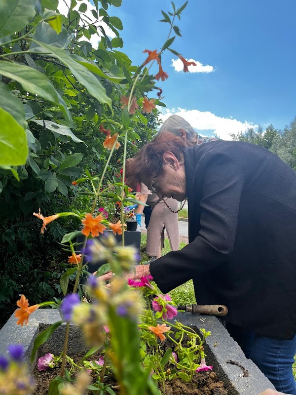 EHPAD Le Bosquet de la Mandallaz - Photo 5 sur 5 - Environnement et extérieurs