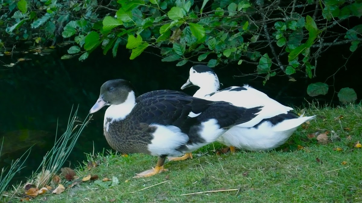 Maison de retraite La vieille église - Photo 2 sur 2 - Intérieur et espaces communs