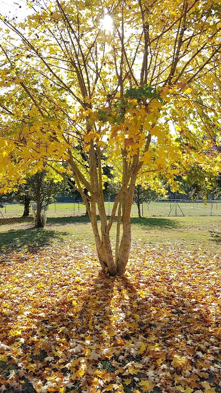 Résidence pasteur - Photo 5 sur 5 - Environnement et extérieurs
