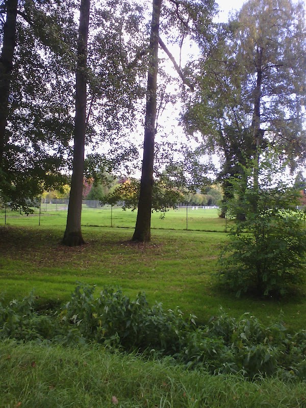 Résidence pasteur - Photo 4 sur 5 - Espaces de vie