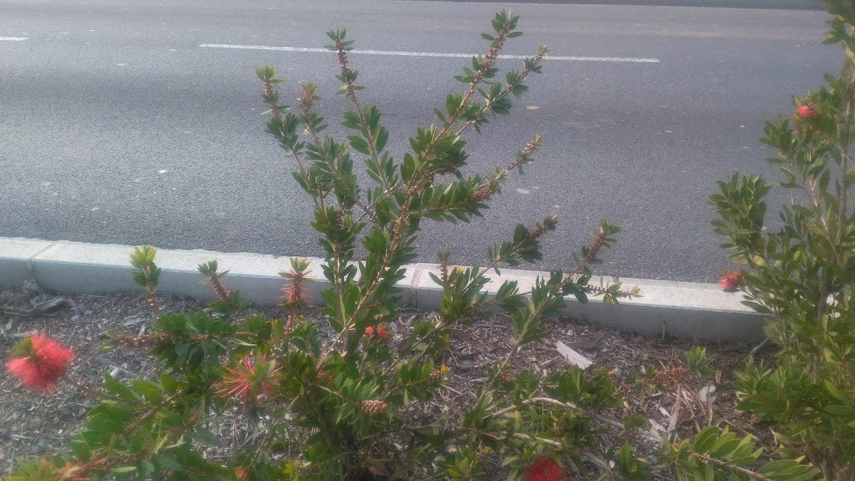 EHPAD Mireille-Vidal - Photo 2 sur 3 - Intérieur et espaces communs