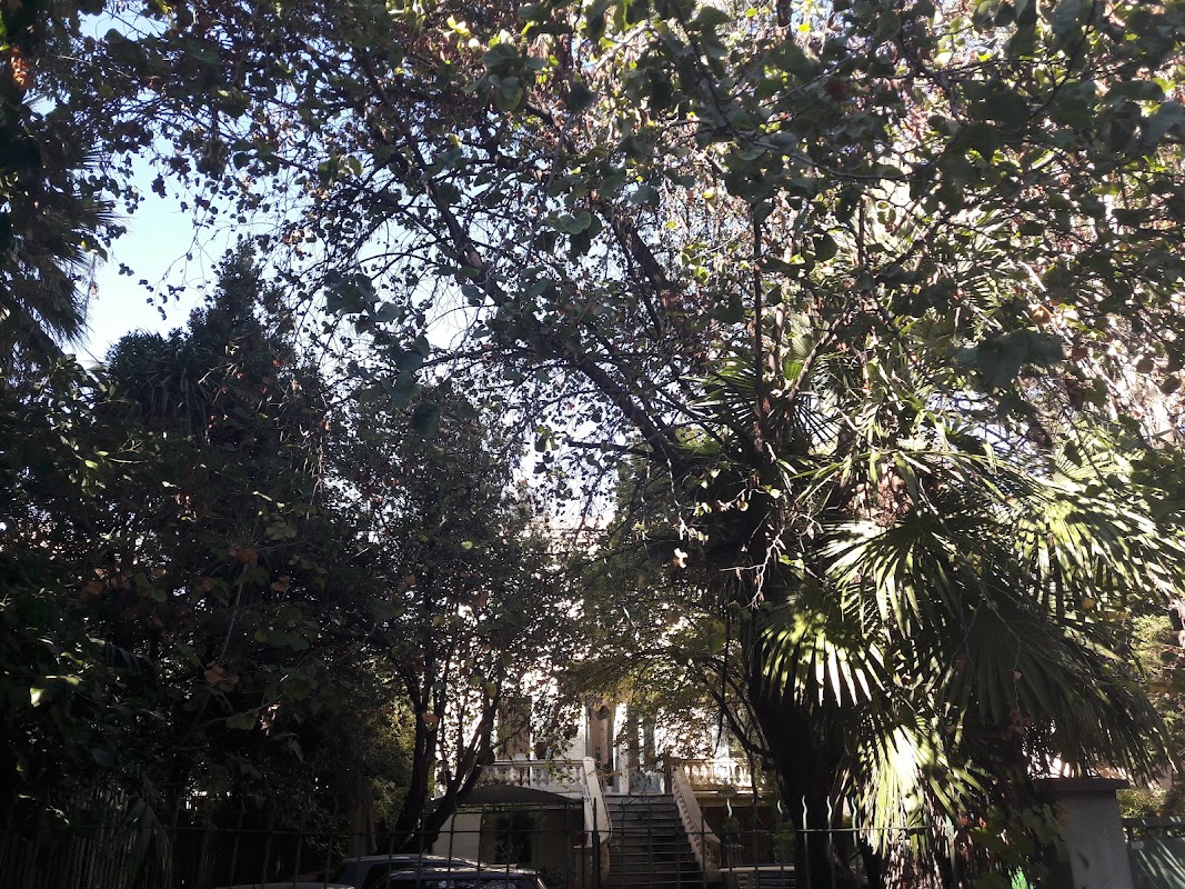 Accueil de jour thérapeutique pour personnes âgées Alzheimer - Photo 3 sur 4 - Chambres et hébergement