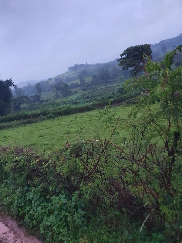 Foyer Soleil du Montchaud - Photo 3 sur 5 - Chambres et hébergement