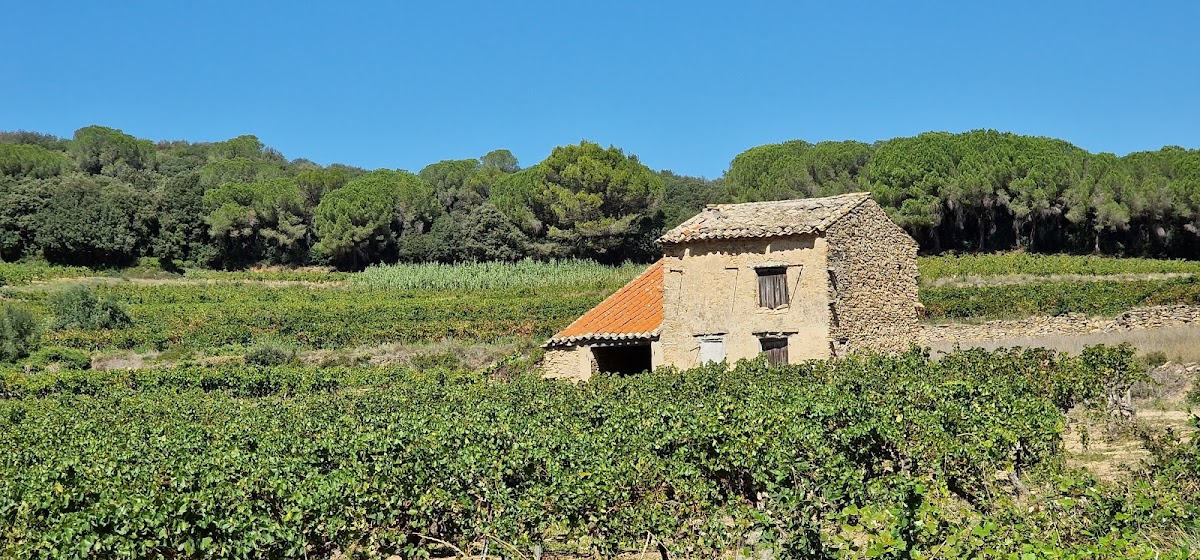 UHT PA CHUSCLAN - Photo 4 sur 5 - Espaces de vie