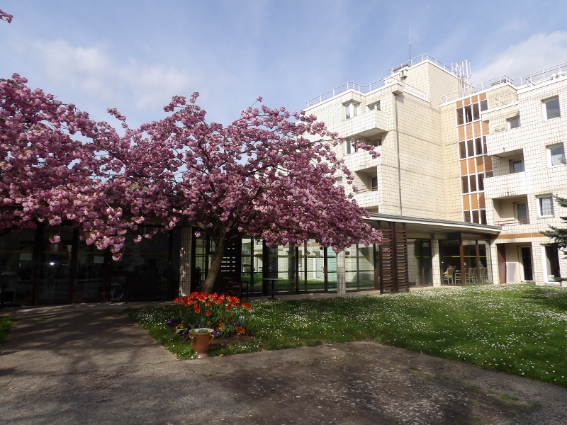 EHPAD Yvonne de Gaulle - Photo 3 sur 5 - Chambres et hébergement