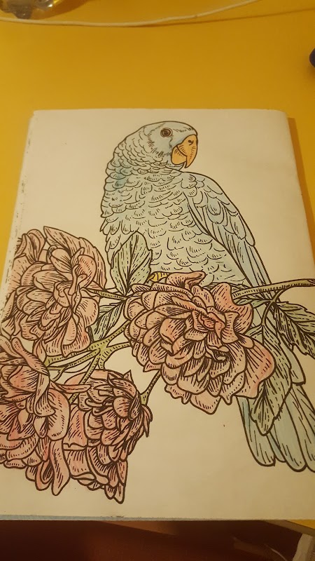 EHPAD La Fraternité - Photo 5 sur 5 - Environnement et extérieurs