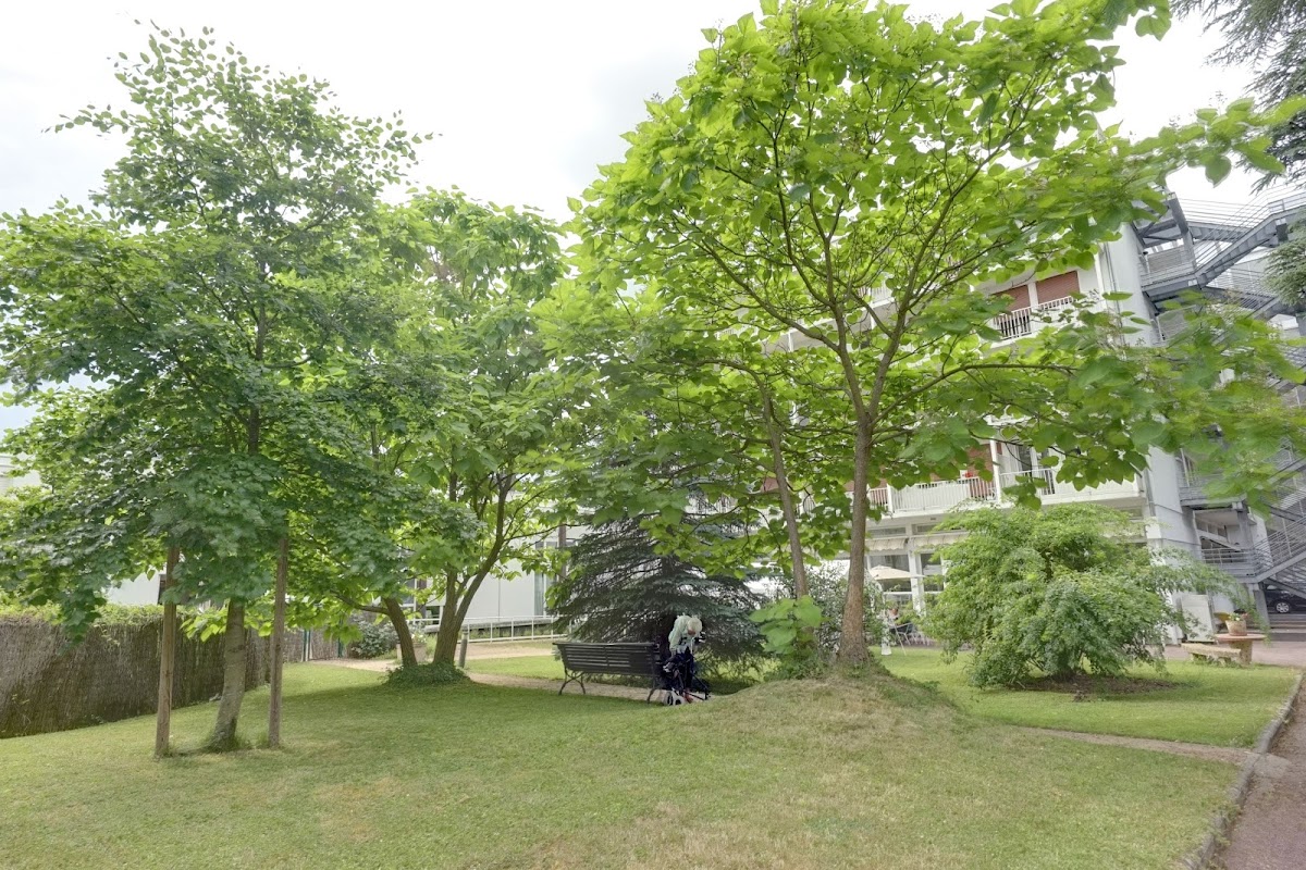 EHPAD La Cerisaie de Saint-Étienne - Photo 5 sur 5 - Environnement et extérieurs