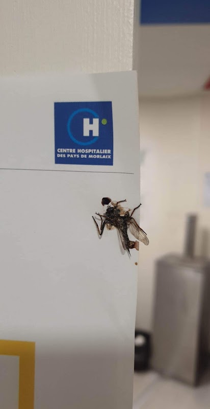 EHPAD Centre hospitalier Morlaix site de Plougonven - Photo 4 sur 5 - Espaces de vie