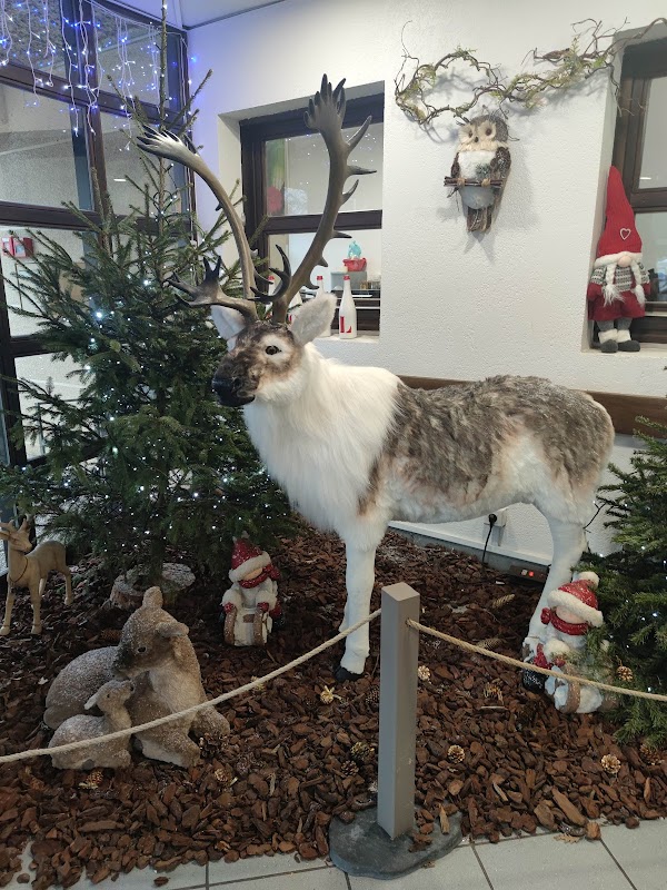 EHPAD L'Isle aux fleurs - Photo 2 sur 4 - Intérieur et espaces communs