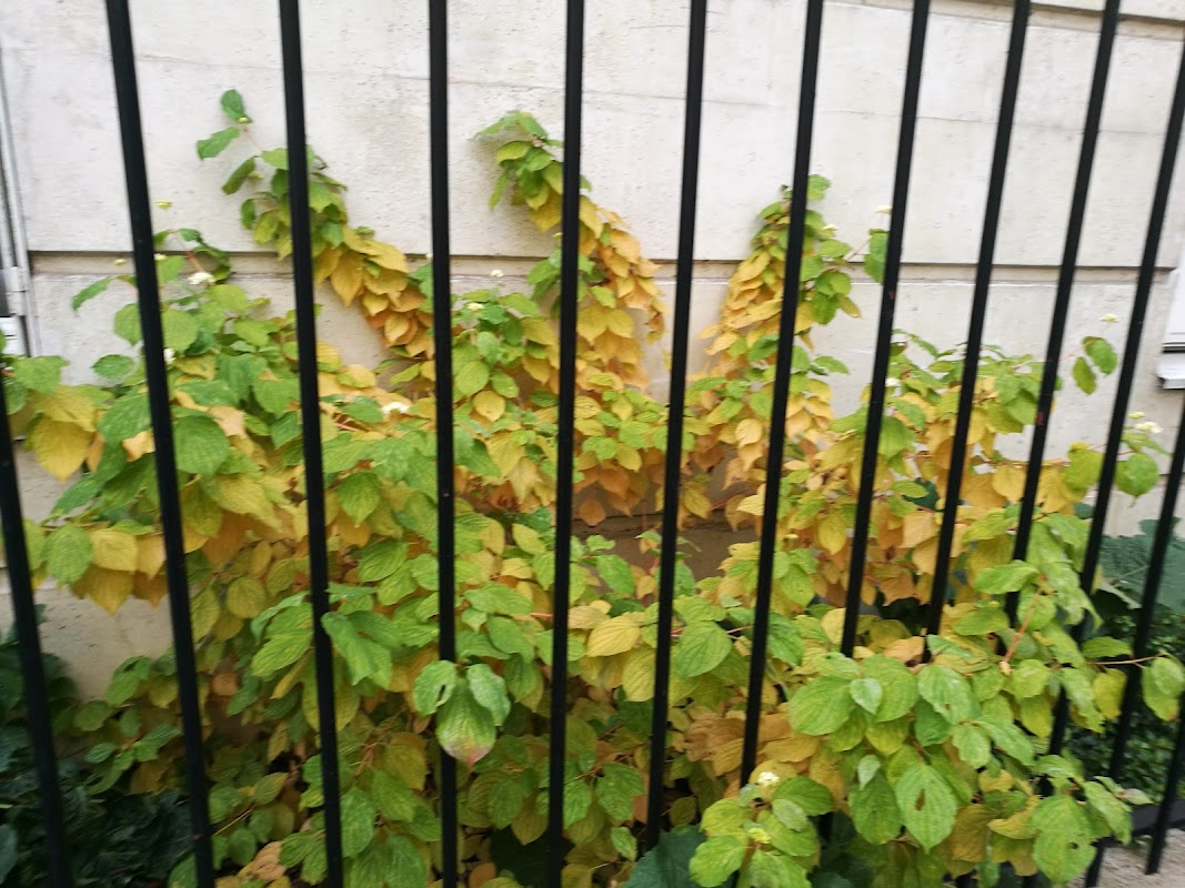 EHPAD Résidence Furtado-Heine - Photo 4 sur 5 - Espaces de vie