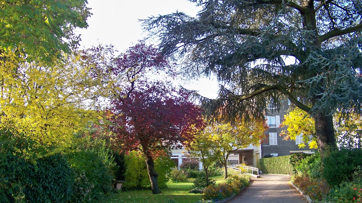 EHPAD Melavie - Photo 2 sur 5 - Intérieur et espaces communs