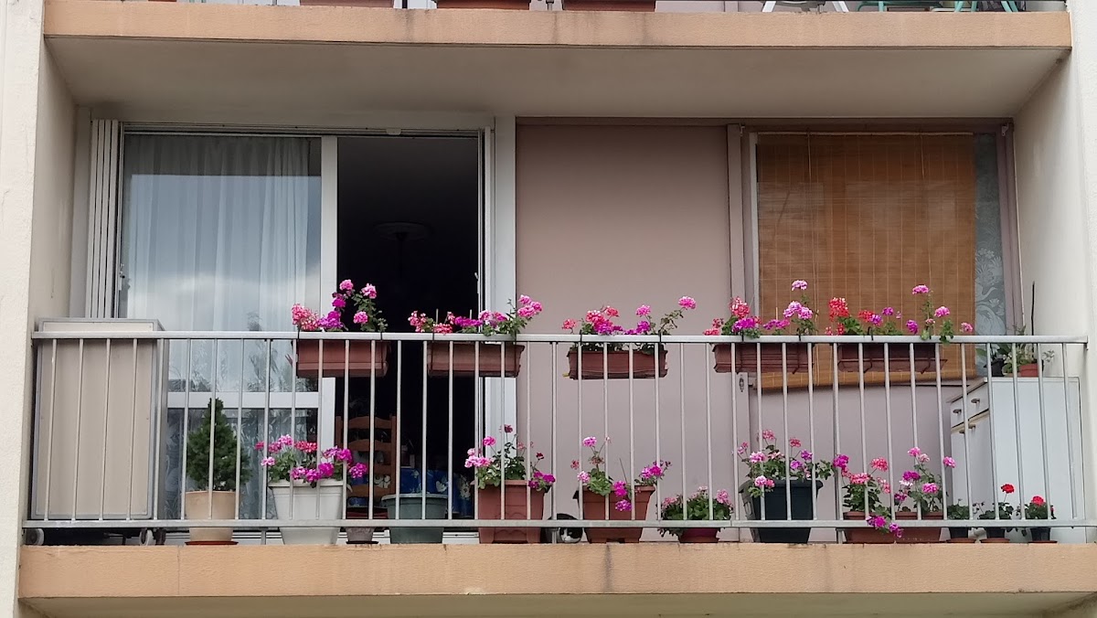 Résidence des belles vues - Photo principale