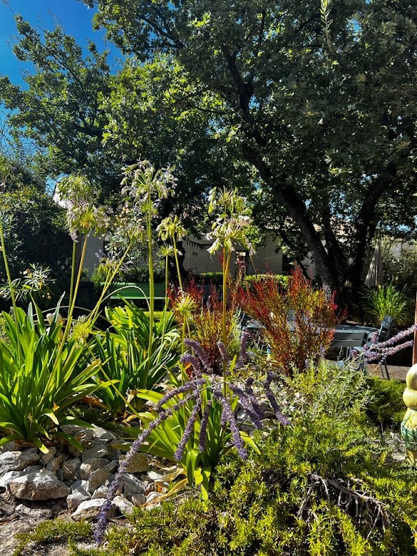 EHPAD Soleil de Provence - Photo 5 sur 5 - Environnement et extérieurs